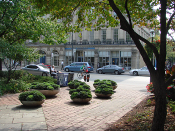 St. James Park