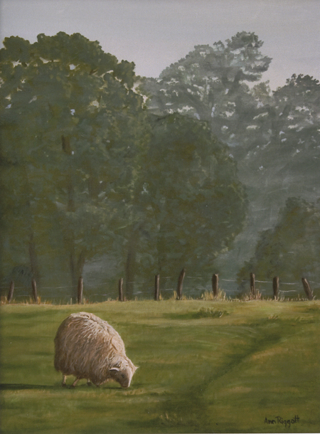 Ann Riggott - Morning Provisions