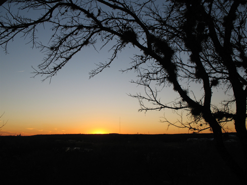 Sunrise