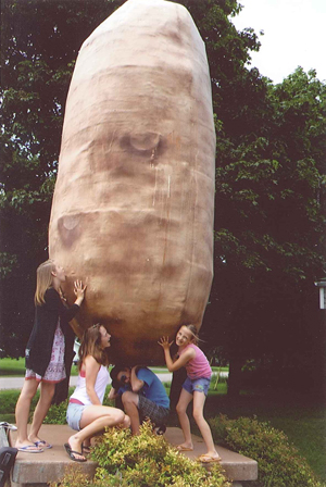 Giant Potato