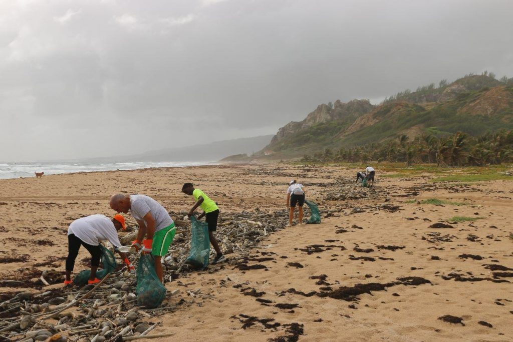 Volunteers clean up a beach.