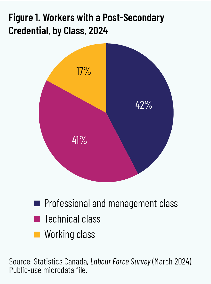 Figure 1. Workers with a Post-Secondary Credential, by Class, 2024