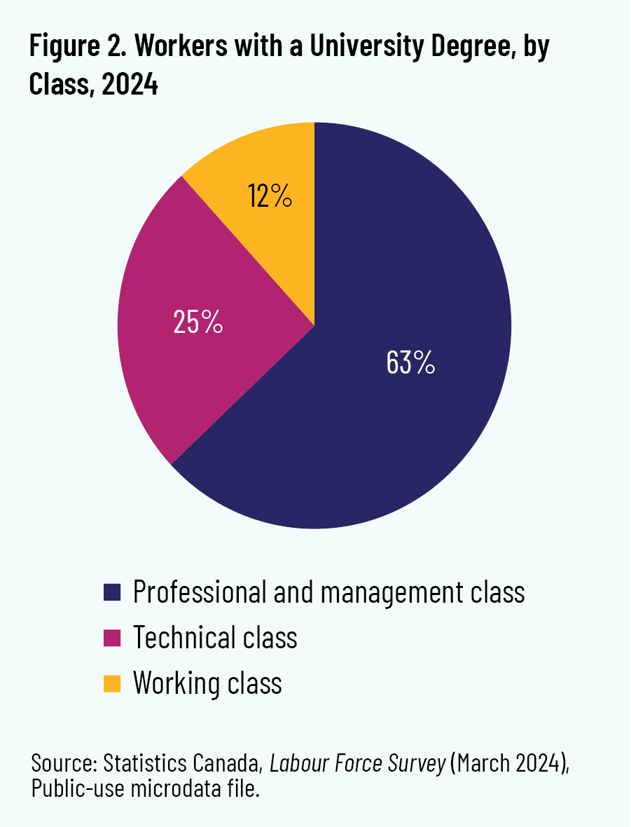 Figure 2. Workers with a University Degree, by Class, 2024